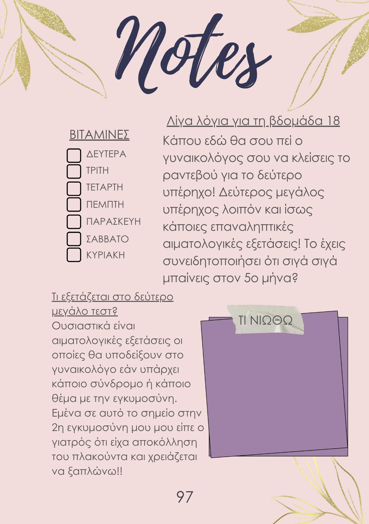 The Pregnancy Planner by Arial Ace